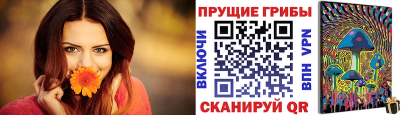 Купить где  Нижнеудинск  Псилоцибиновые грибы Psilocybe 